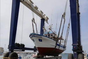 Barca da pesca con licenza - Cantiere Navale Amato