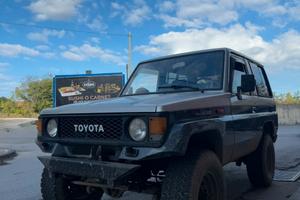 Toyota land cruiser