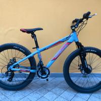 Bicicletta bambino Lombardo 24”