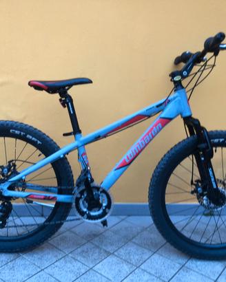 Bicicletta bambino Lombardo 24”
