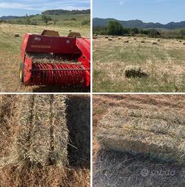 Fieno da campo misto