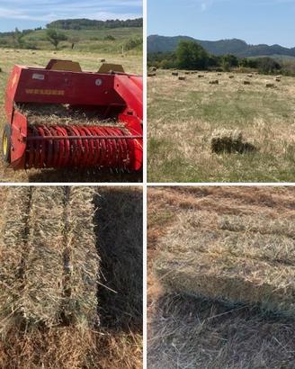 Fieno da campo misto