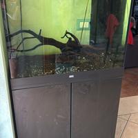 Acquario JUWEL LIO 200