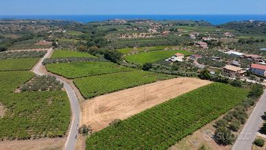 Terreno edificabile 4.500 mq in zona strategica