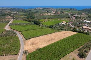 Terreno edificabile 4.500 mq in zona strategica