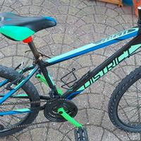 Mountan Bike ruota 24