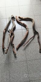 Radici in Faggio per Trespoli e Rettilari