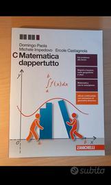 Matematica dappertutto C