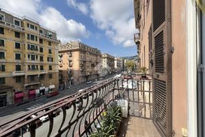 4 locali in corso sardegna