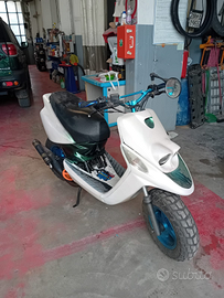 Booster ng 70 polini