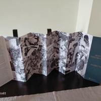 Nicola Vascellari Fioretti