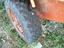 Immagine 3