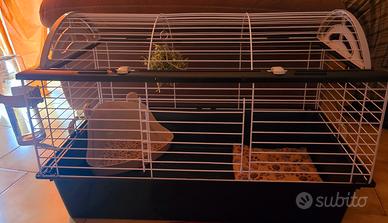 gabbia casita 80 per coniglio o piccoli animali
