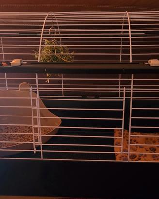 gabbia casita 80 per coniglio o piccoli animali