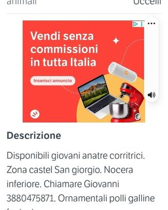 Anatre corritrici
