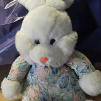 Due pupazzi di peluche