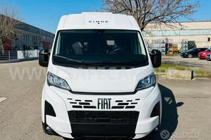 Furgonato Rimor Horus 38 Pronta Consegna