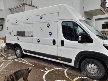 Peugeot boxer 2.2 hdi 435l4h3