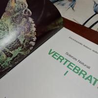 Volume 1 e 2 Gli animali vertebrati Enciclopedia S