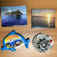 4 Calamite da collezione