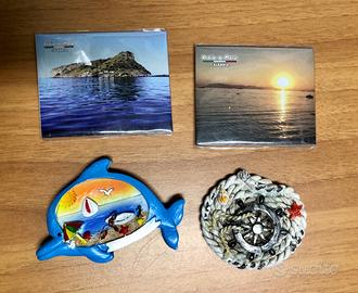 4 Calamite da collezione