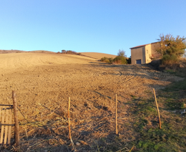 Terreno di 2 ettari con casa