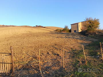 Terreno di 2 ettari con casa