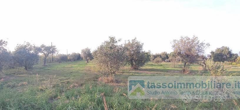Terreno di 4600 m² a Ortona - Vista 3