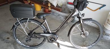 Bicicletta elettrica 