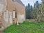 Immagine 15