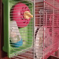 Gabbietta piccolina per criceto + accessori