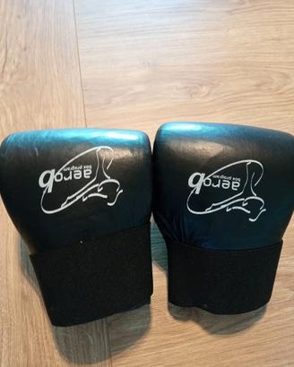 . Coppia guantoni da boxe Aero