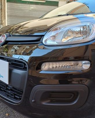 FIAT Panda Pandina 1.0 FireFly S&S Hybrid Icon 5