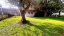 villa-singola-con-giardino-con-grandi-potenzialita