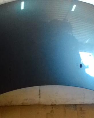 COFANO ANTERIORE PEUGEOT 307 S. Wagon 2° Serie (0