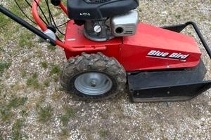 Trincia erba a scoppio - lama motore Honda