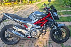 sukuzi sfv gladius 650