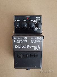Boss RV-5