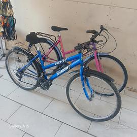 Mountain bike r26 