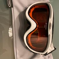 Alpina maschera da sci