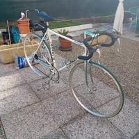 moser  1978