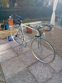 moser  1978