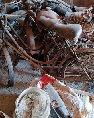 Biciclette antiche da donna