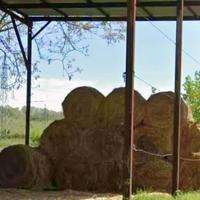 BALLE DI FIENO PICCOLE