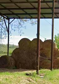 BALLE DI FIENO PICCOLE