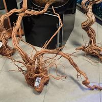 Radici di mangrovie giganti Per acquari o terrari