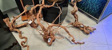 Radici di mangrovie giganti Per acquari o terrari