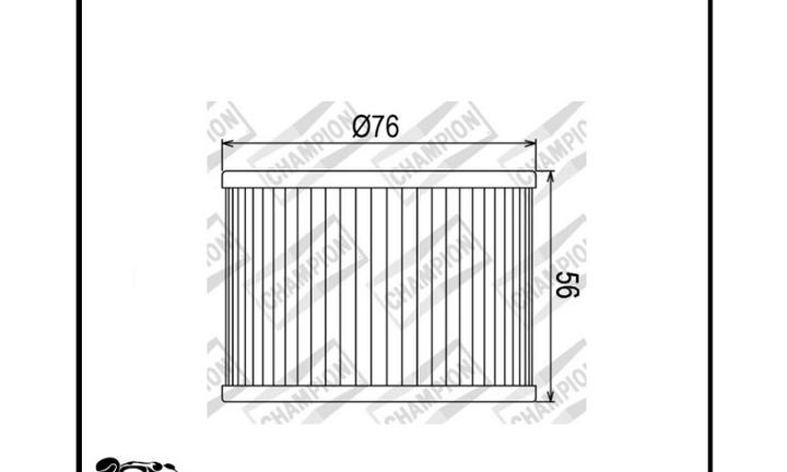 Champion – Filtro Olio Champion COF301 Kawasaki 4c