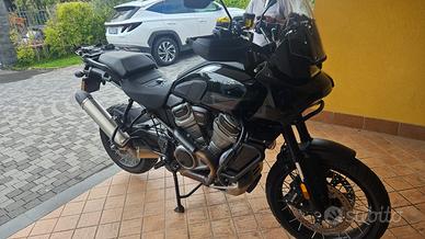 HARLEY DAVIDSON PAN AMERICA 1250 Special