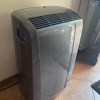 Climatizzatore Pinguino DeLonghi PAC N90B